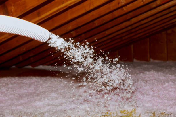 Best Insulation Contractors for Homes  in Pontiac, IL