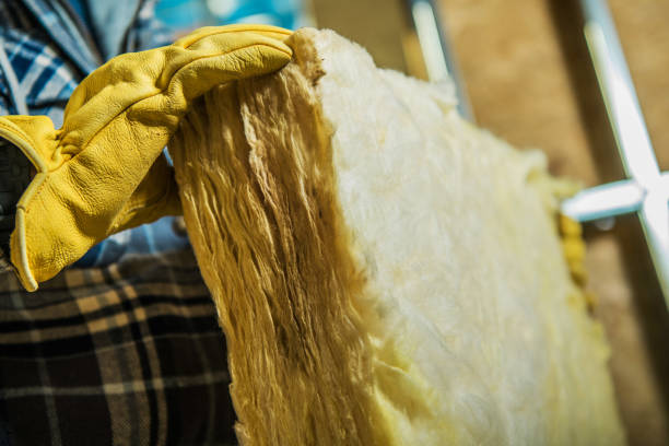 Best Insulation for New Construction  in Pontiac, IL