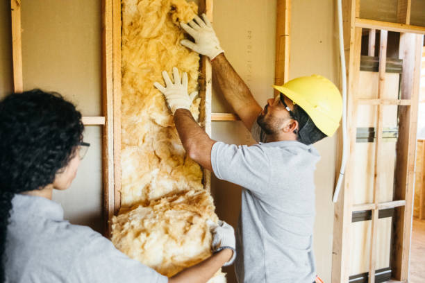Best Commercial Insulation Contractor  in Pontiac, IL